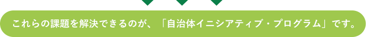 これらの課題を解決できるのが、「自治体イニシアティブ・プログラム」です。